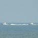 Island-class Patrol Vessels