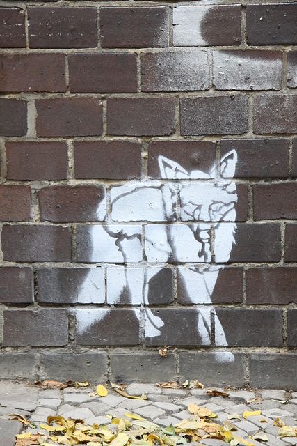 Wolf in Neukölln