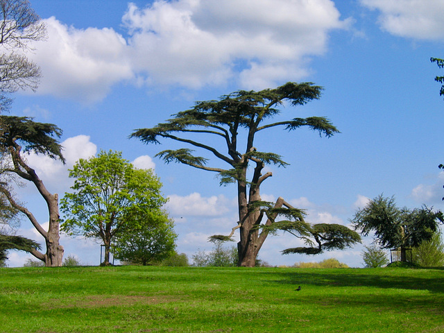 Near Hartlebury Castle