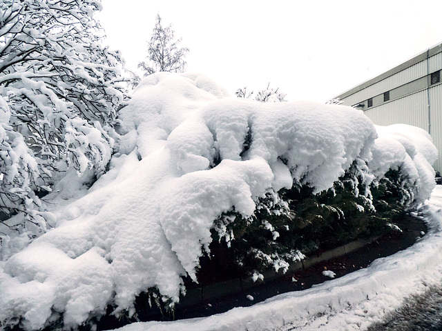 19 01 Chemnitz im Schnee-103