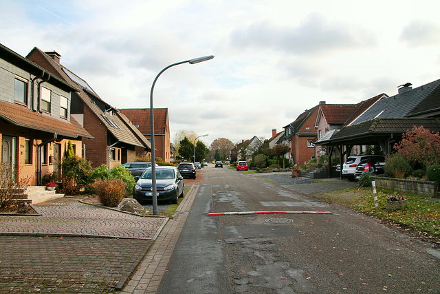 Mühlenstraße (Marl-Sinsen) / 1.12.2018