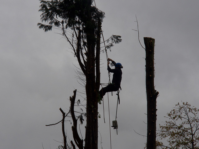 #27 - Peter Castell - Hanging about - 21̊ 3points