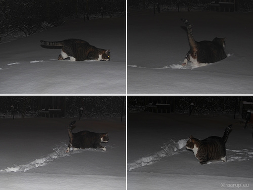 Bastian's snow quadriptych