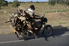 Firewood and modern transport.