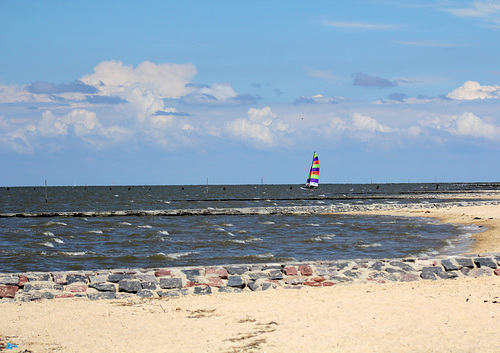 Nordseesurfer