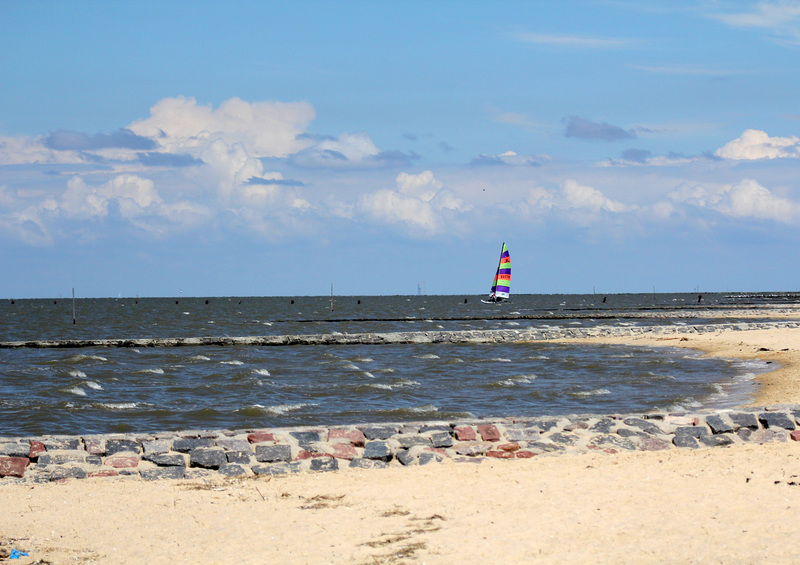 Nordseesurfer