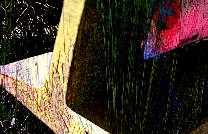 The red mouse hurries