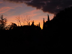 PA208074