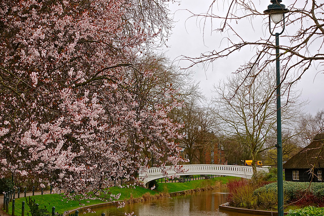 Victoria Park, Stafford