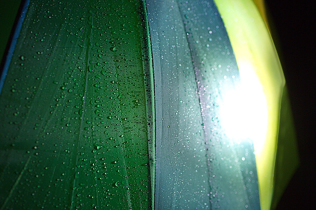 bitte das ganze Album ansehen