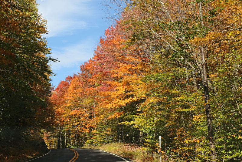 Bear Notch Road