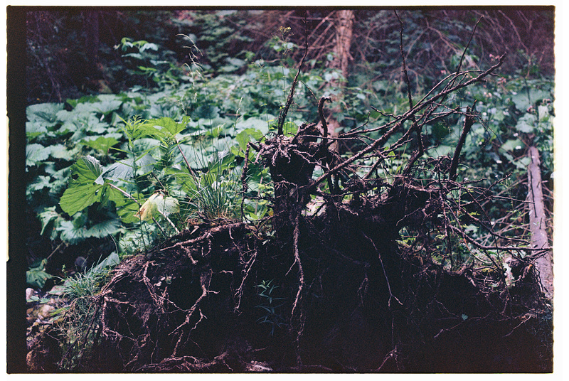 FujiFrontierSP3000 0027