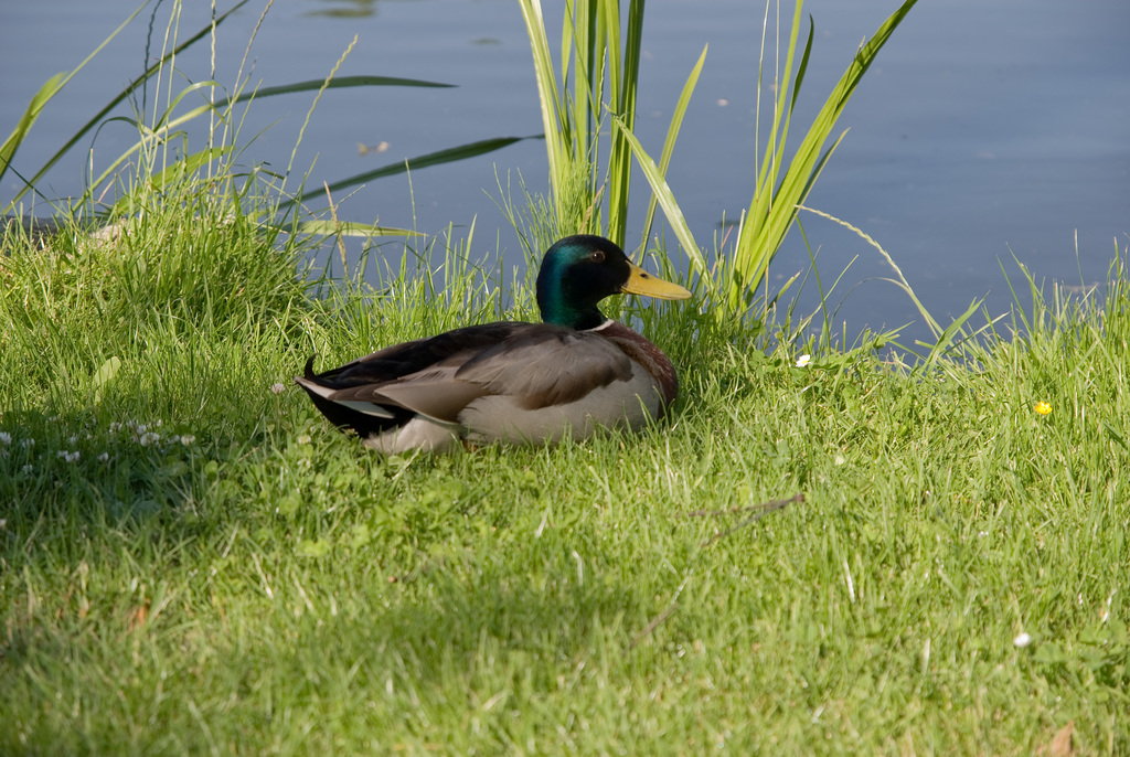Wunsiedel und Bürgerpark