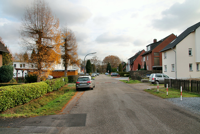 Mühlenstraße (Marl-Sinsen) / 1.12.2018