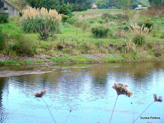 Manunui River,