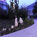 Coprinus Comatus,in the middle of the city