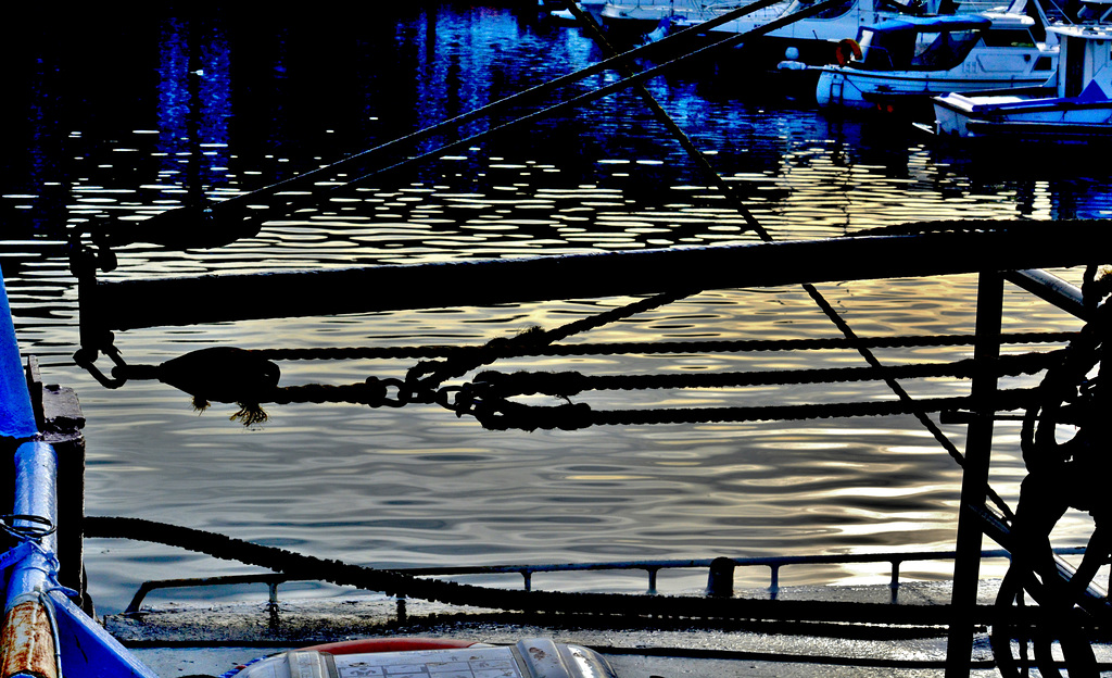Alight aboard
