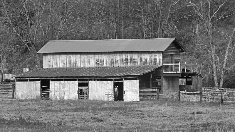 Horse Barn