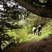 20160611 -18 Rando Meribel Les allues Jour3 Courchevel (11)