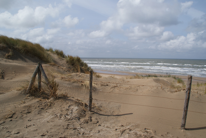 Nordsee bei Parnassia