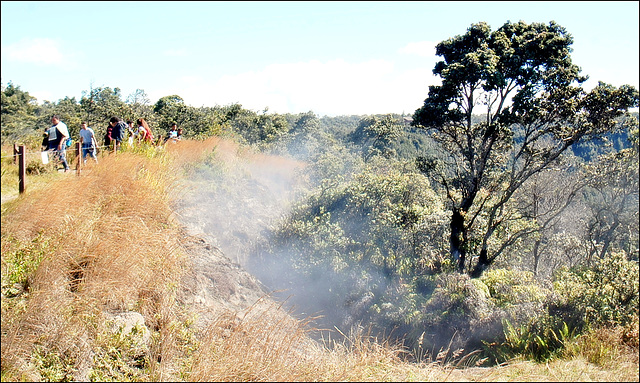 Steaming Vent