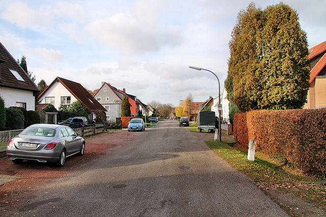 Mühlenstraße (Marl-Sinsen) / 1.12.2018