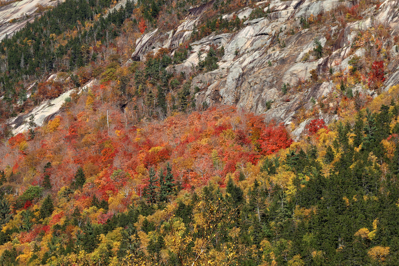 Crawford Notch State Park