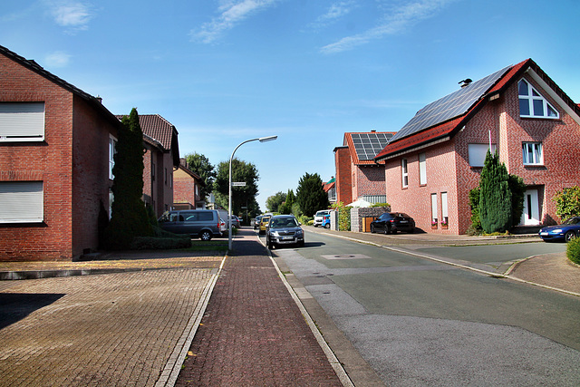 Schluenweg (Dorsten-Lembeck) / 20.07.2024