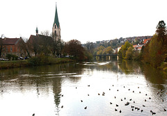 Der Neckar bei Rottenburg