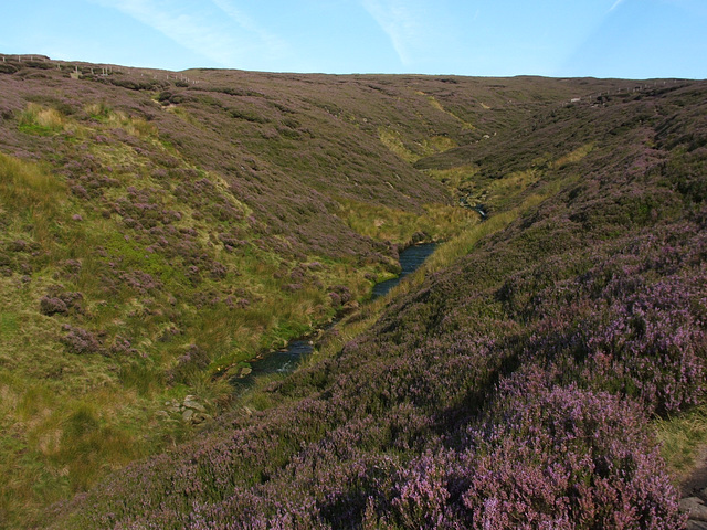 Torside Clough, South Pennines