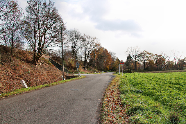 Mühlenstraße (Marl-Sinsen) / 1.12.2018