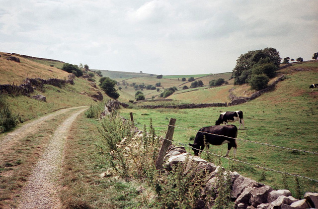 Biggin Dale (Scan from August 1989)