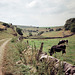 Biggin Dale (Scan from August 1989)