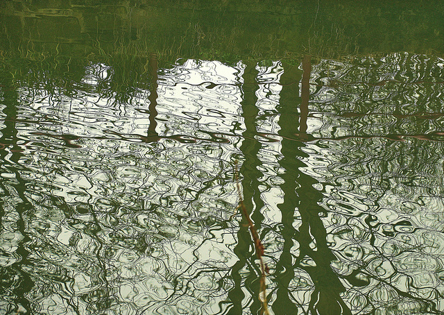 Reflection 4