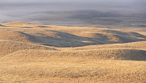 folds and mounds-Cypress Hills 3