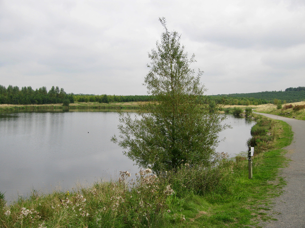 Pools at Sence Valley Forest Park