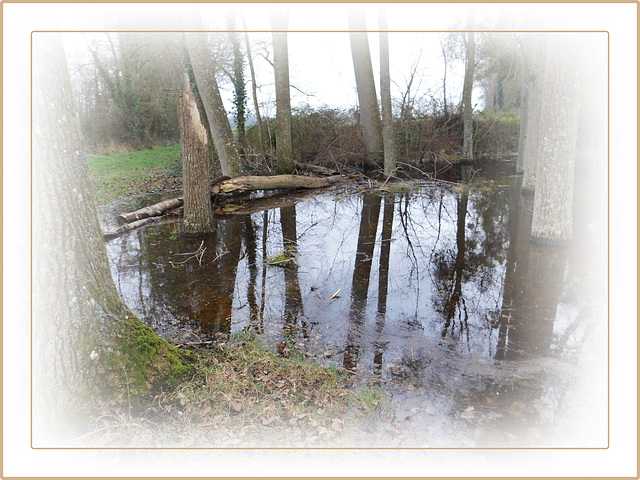 Reflets dans le chemin (22)