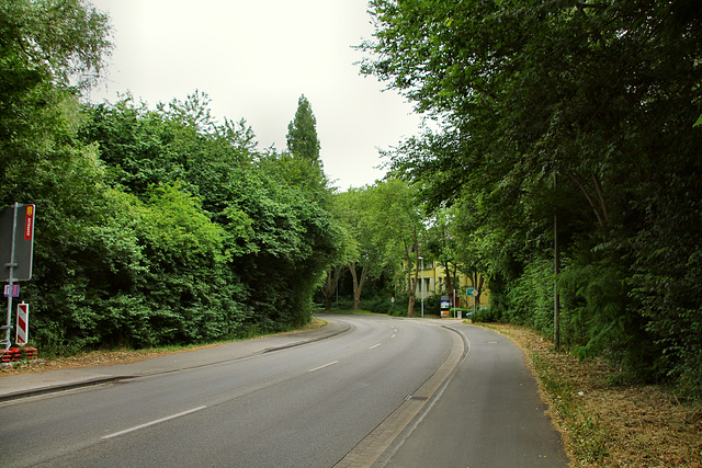 Ziegelstraße (Dinslaken) / 4.06.2020