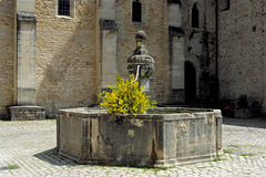 La fontaine de l'abbaye !