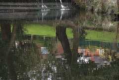 Reflection 2