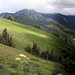 Hurricane Ridge