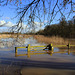 Flooded Fence At Attingham Park