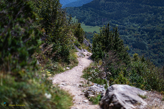 La descente