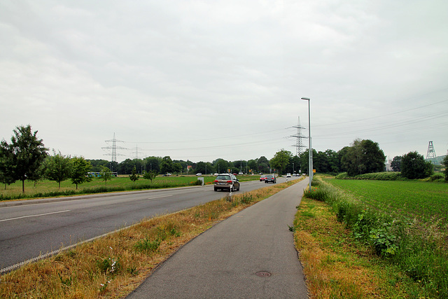 Ziegelstraße (Dinslaken) / 4.06.2020