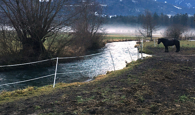 Schlins Österreich