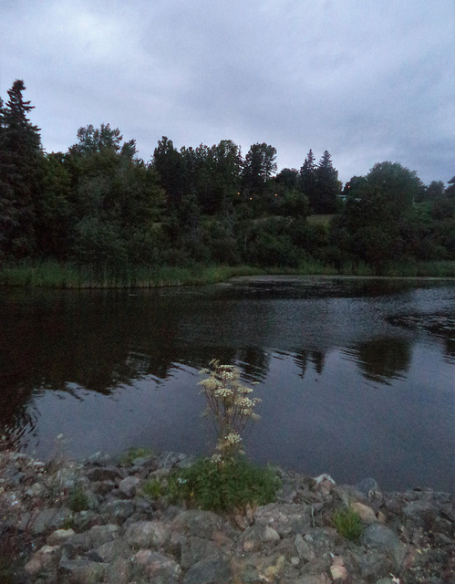 Reflet sur un monde flou