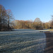 A walk near the Hogsmill river