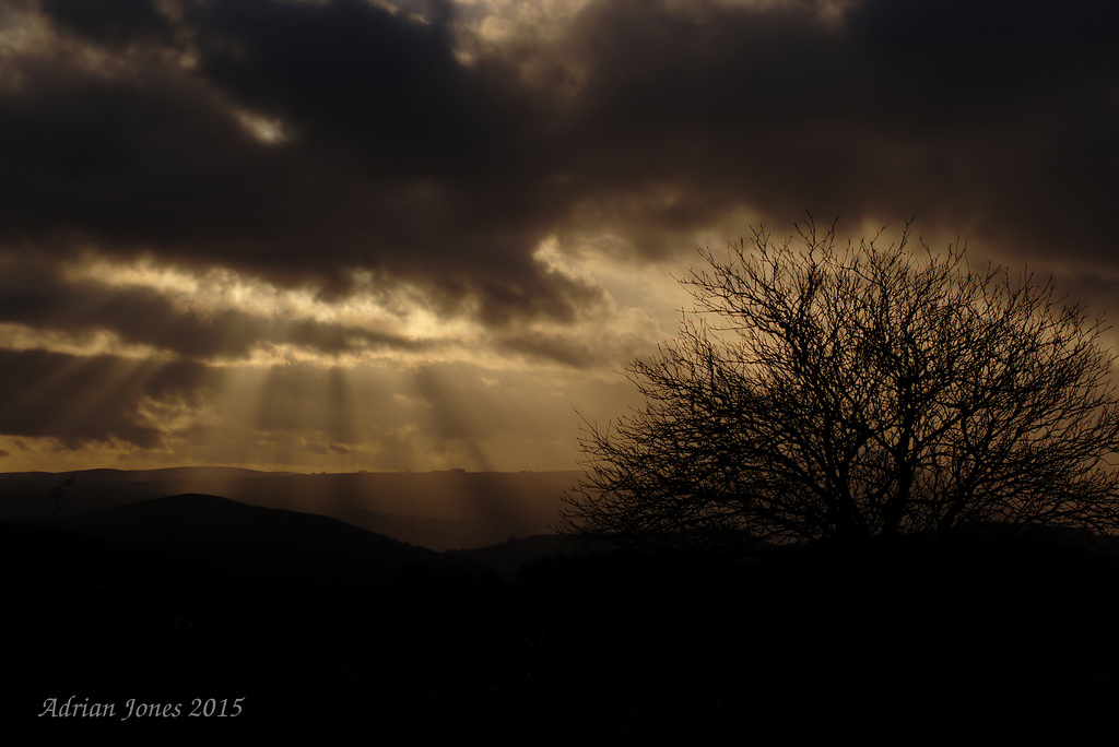 Rays of Sunshine