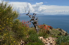 Bolivia, On the Island of the Sun in the Lake of Titicaca