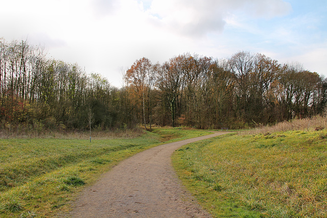 Weg am Fuß der Halde General Blumenthal 8 (Oer-Erkenschwick) / 1.12.2018